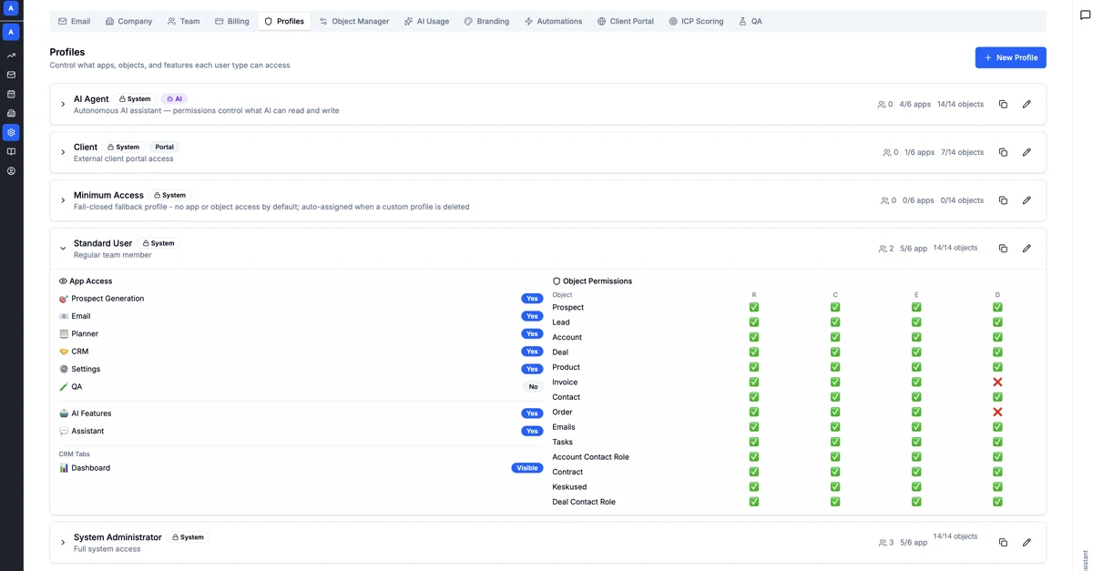 AmplySales Standard User profile showing application and object permissions